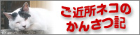 ���ߏ��l�R�̂��񂳂L