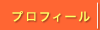 �v���t�B�[��