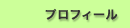 �v���t�B�[��