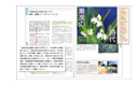 �n�������̊��s����